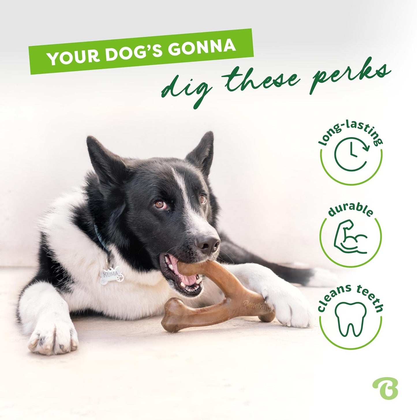 Benebone Wishbone Durable