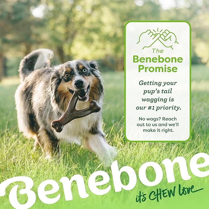 Benebone Wishbone Durable