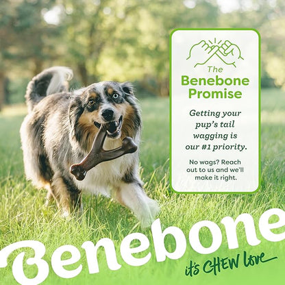 Benebone Wishbone Durable