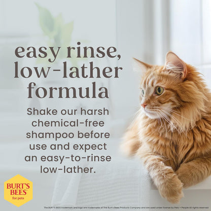 Burts Bees for Pets Hypoallergenic Cat Shampoo