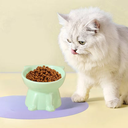 Ceramic Cat Food Bowl
