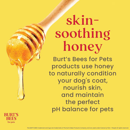 Burts Bees for Pets Hypoallergenic Cat Shampoo