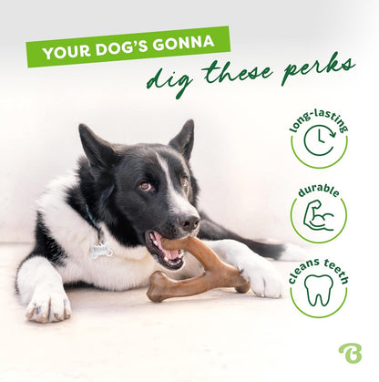 Benebone Wishbone Durable